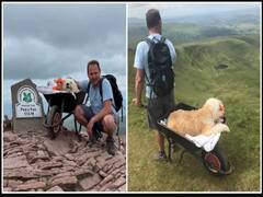 புற்றுநோய் பாதிக்கப்பட்ட நாயுடன் கடைசி டிரெக்கிங் பயணம்- வைரலாகும் படங்கள் !