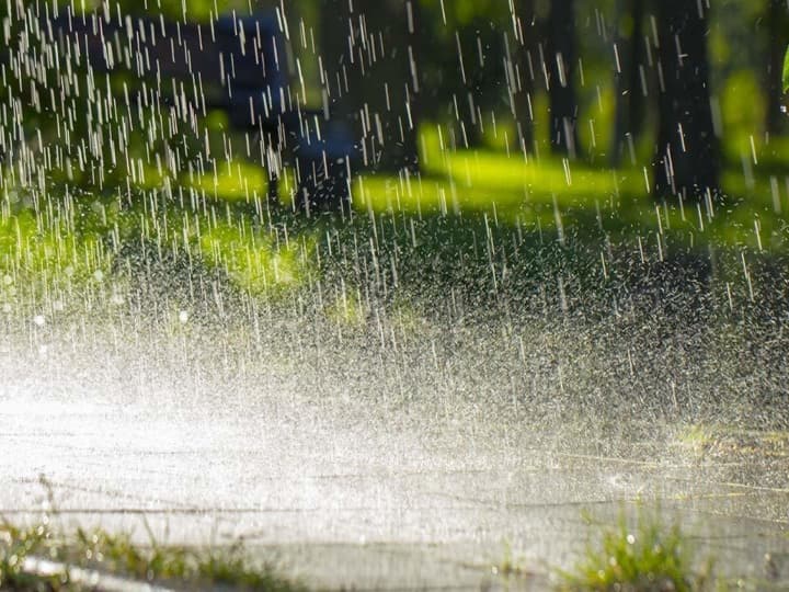 Heavy rain forecast in this area of Gujarat in next three days આગામી ત્રણ દિવસમાં ગુજરાતના આ વિસ્તારમાં વરસાદ તૂટી પડશે, જાણો હવામાન વિભાગે શું કરી મોટી આગાહી