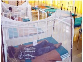 Dengue: மதுரை மாவட்டத்தில் கடந்த 25 நாளில் 98 பேருக்கு டெங்கு காய்ச்சல்!