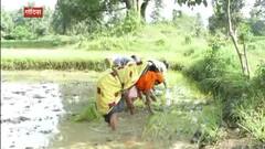 शेतमजुरांच्या कामाच्या वेळा ठरल्या, नियम मोडल्यास दंड, मजुरांची पिळवणूक थांबणार : गोंदिया