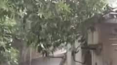 રાજ્યમાં છેલ્લા 24 કલાકમાં 149 તાલુકામાં વરસ્યો વરસાદ, ક્યાં કેટલો ખાબક્યો વરસાદ?