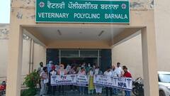 6ਵੇਂ ਪੇਅ ਕਮਿਸ਼ਨ ਖਿਲਾਫ ਸਰਕਾਰੀ ਡਾਕਟਰ ਵੀ ਡਟੇ, ਰੋਸ ਪ੍ਰਦਰਸ਼ਨ ਕਰ ਸਾੜੀਆਂ ਪੇਅ ਕਮਿਸ਼ਨ ਦੀਆਂ ਕਾਪੀਆਂ