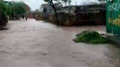 Gir Somnath: ધોધમાર વરસાદને કારણે આ ગામમાં માર્ગો પર વહી રહ્યો છે નદી જેવો પાણીનો પ્રવાહ