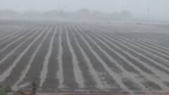 ફટાફટ: આગામી 3 દિવસ રાજ્યમાં ભારે વરસાદની આગાહી, માછીમારોને દરિયો ન ખેડવા સૂચના