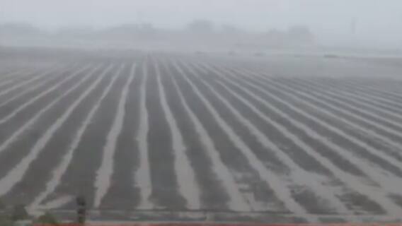 ફટાફટ: આગામી 3 દિવસ રાજ્યમાં ભારે વરસાદની આગાહી, માછીમારોને દરિયો ન ખેડવા સૂચના