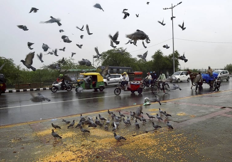 Southwest Monsoon Covers Entire Country After Delay Of Five Days: Meteorological Department Southwest Monsoon Covers Entire Country After Delay Of Five Days: Meteorological Department