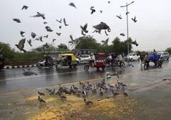 Southwest Monsoon Covers Entire Country After Delay Of Five Days: Meteorological Department