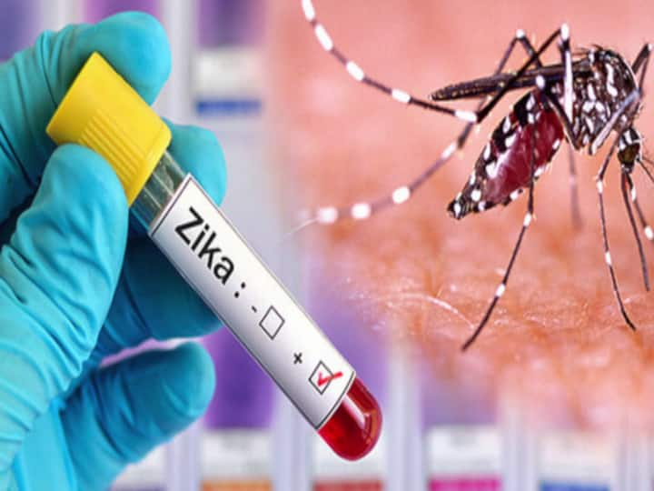 Zika Virus health minister veena george issued an alert after four new cases of zika virus were reported in kerala Zika Virus : केरळमध्ये झिका व्हायरसचा प्रादुर्भाव; 23 जणांना लागण, अलर्ट जारी