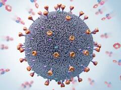 अब तक दुनिया के 29 देशों में पहुंचा कोरोना का लैंबडा वेरिएंट, क्या यह ज्यादा खतरनाक है?