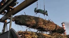नियम डावलून कर्ज उचलल्याप्रकरणी महाराष्ट्रातील 40 साखर कारखाने EDच्या रडारवर