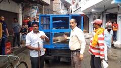 ਬੰਦਾ ਮਰਨ ਮਗਰੋਂ ਅਵਾਰਾ ਕੁੱਤਿਆਂ ਦੀ ਸ਼ਾਮਤ, ਪ੍ਰਸ਼ਾਸਨ ਨੇ ਚਲਾਈ ਕੁੱਤੇ ਫੜਨ ਲਈ ਮੁਹਿੰਮ