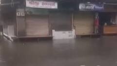 Gir Somnath: વરસાદના કારણે દેવકા નદીમાં પાણીની થઈ આવક, ખેડૂતોના સિંચાઈના પ્રશ્નનો આવશે ઉકેલ