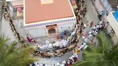 श्री संत सोपानकाकांच्या पालखीत मेंढ्यांचं रिंगण, कोरोनामुळे पहिल्यांदात मंदिरात रिंगण सोहळा