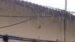 3 દિવસ રાજ્યમાં ભારે વરસાદની આગાહી, સૌરાષ્ટ્રમાં પડી શકે છે ભારેથી અતિ ભારે વરસાદ