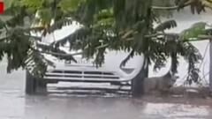 રાજ્યના વિવિધ જિલ્લામાં જામ્યો વરસાદી માહોલ,રાજકોટના ડેમમાં થઈ પાણીની નવી આવક