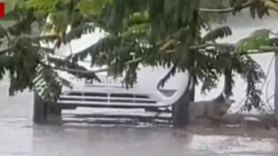 રાજ્યના વિવિધ જિલ્લામાં જામ્યો વરસાદી માહોલ,રાજકોટના ડેમમાં થઈ પાણીની નવી આવક