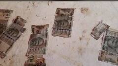 Damaged Currency: એટીએમમાંથી નીકળી છે ફાટેલી નોટ, આ રીતે સરળતાથી બેકમાં કરો એક્સચેન્જ