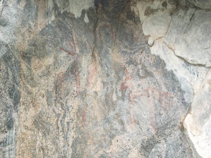 thiruvannamalai Discovery of 3,000 year old rock painting திருவண்ணாமலை : வேட்டவலத்தில் 3,000 ஆண்டுகள் பழமை வாய்ந்த பாறை ஓவியம் கண்டெடுப்பு