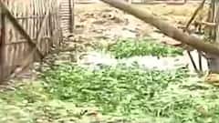 Canal Filling Controversy: কলকাতায় উধাও আস্ত খাল! ফের প্রকাশ্যে দুর্নীতি