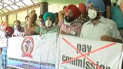 6th Pay Commission: Amritsar 'ਚ ਭੱਖੇ ਡਾਕਟਰਾਂ ਦਾ ਪੁਤਲਾ ਫੂਕ ਪ੍ਰਦਰਸ਼ਨ