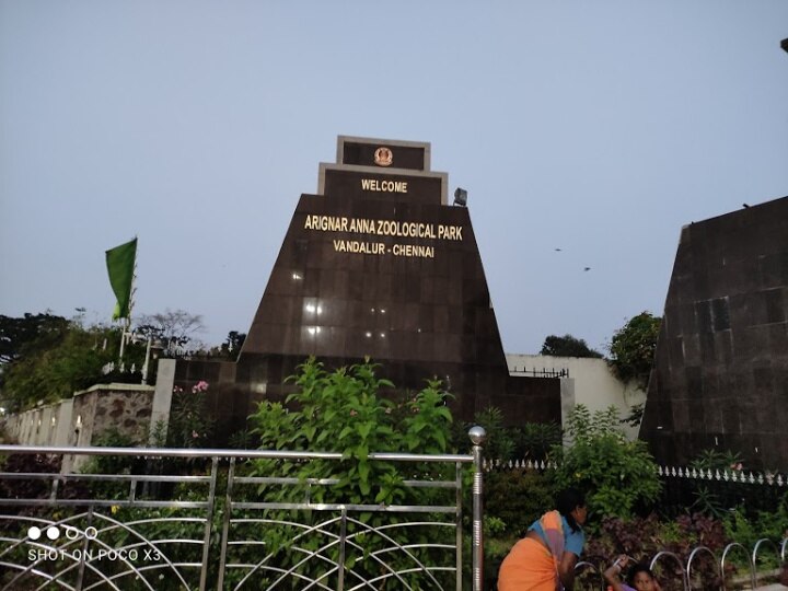 Vandalur zoo | வண்டலூர் பூங்காவில் வெள்ளைப் புலி உயிரிழப்பு : கொரோனா தொற்று காரணமா?