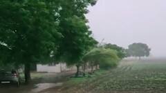 આપણી ખબર: દ્વારકા જિલ્લામાં વરસાદી માહોલ, ઠેર ઠેર ભરાયા પાણી, વાહન ચાલકોને મુશ્કેલી