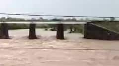 ટોપ 20: અમરેલીમાં અનરાધાર વરસાદ, સૌરાષ્ટ્રમાં મેઘ મહેર શરૂ