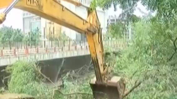 Vadodara: મનપાએ વિશ્વામિત્રી નદી પર સાફ સફાઈની કામગીરી કરી શરૂ, પર્યાવરણવિદે શું કહ્યું?