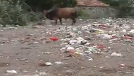 મારુ ગામ મારી વાતઃ જામનગરના લાખાબાવળ ગામના લોકોની શું છે સમસ્યાઓ?,જુઓ વીડિયો