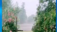 રાજ્યના કયા કયા વિસ્તારોમાં ભારેથી અતિભારે વરસાદની કરાઈ આગાહી?,જુઓ વીડિયો