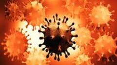 Bengal Corona Update: রাজ্যে গত ২৪ ঘণ্টায় করোনা আক্রান্ত ৮৯১, মৃত ১২