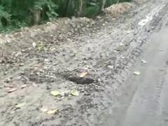 बस्ती: सड़क निर्माण में मिट्टी के इस्तेमाल का आरोप, कंस्ट्रक्शन कंपनी को मिली सख्त हिदायत