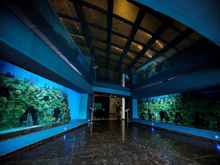 Aquatic gallery has been developed in collaboration with Marine Scape Eo-aquarium, New Zealand.