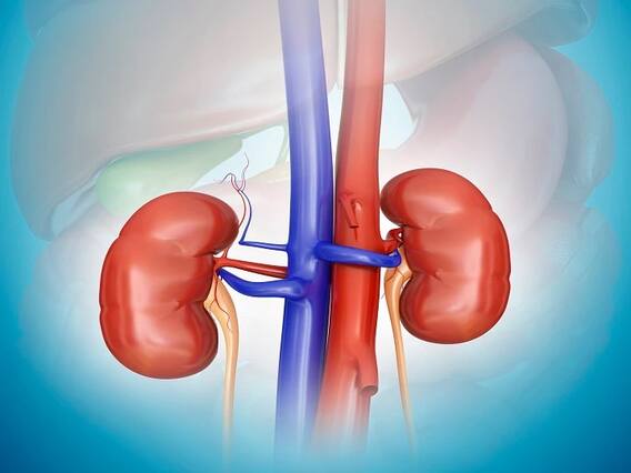 Kidney Heath: किडनी खराब होने पर क्या लक्षण नज़र आते हैं? किडनी को सेहतमंद रखने के लिए इन बातों का रखें ख्याल Kidney Heath: किडनी खराब होने पर क्या लक्षण नज़र आते हैं? किडनी को सेहतमंद रखने के लिए इन बातों का रखें ख्याल