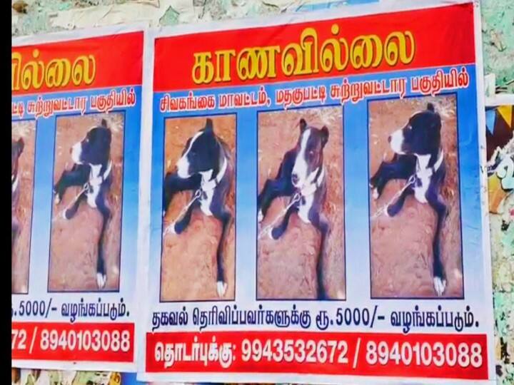 those who find the dog will be rewarded five thousand farmer post goes viral in sivaganga சிவகங்கை : கண்டுபிடிப்பவர்களுக்கு 5 ஆயிரம் என அறிவித்த விவசாயி : நெகிழவைத்த காணவில்லை போஸ்டர்..!