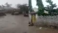 કચ્છ અને દાહોદમાં વરસાદી, પાકને પાણી મળતા ખેડૂતોમાં આનંદ જોવા મળ્યો