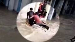 Top viral videos of the day | Viral Express (15 July 2021)