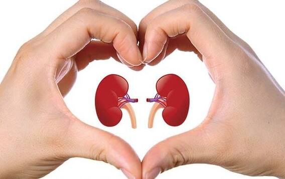 Kidney Failure Symptoms: ਇਨ੍ਹਾਂ 8 ਆਦਤਾਂ ਨਾਲ ਵਧਦਾ ਹੈ ਕਿਡਨੀ ਫੇਲ੍ਹ ਹੋਣ ਦਾ ਖਤਰਾ, ਭੁੱਲ ਕੇ ਵੀ ਕਰੋ ਇਹ ਕੰਮ