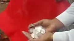 Ahmednagar : खोदकामादरम्यान सापडलं 8 लाखांचं गुप्तधन, कामागारांना ठरलेले पैसे न दिल्याने भांडाफोड