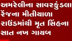 અમરેલી:સાવરકુંડલા રેન્જના મીતિયાળા રાઉન્ડમાંથી મૃત સિંહના નખ ગાયબ, 18 નખમાંથી 11 નખ મળ્યા