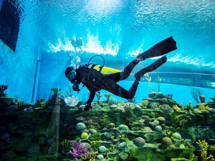 The aquatic gallery spread over an area of 15,000 square metres is touted to be the largest aquarium in India.