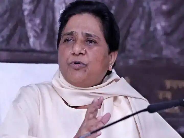 'Jungle Raj' In UP Under BJP Govt, Just Like SP's Regime: BSP Supremo Mayawati 'Jungle Raj' In UP Under BJP Govt, Just Like SP's Regime: BSP Supremo Mayawati