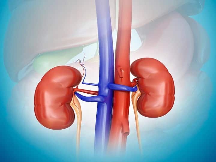 Habits For Healthy Kidney heakth problems for damage kidney Kidney Heath : किडनी निकामी होण्याची लक्षणे कोणती? किडनी निरोगी ठेवण्यासाठी 'या' गोष्टी लक्षात ठेवा