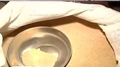 Poppy Seed Adulteration: ভেজাল পোস্ত তৈরি কারবারে গ্রেফতার ১