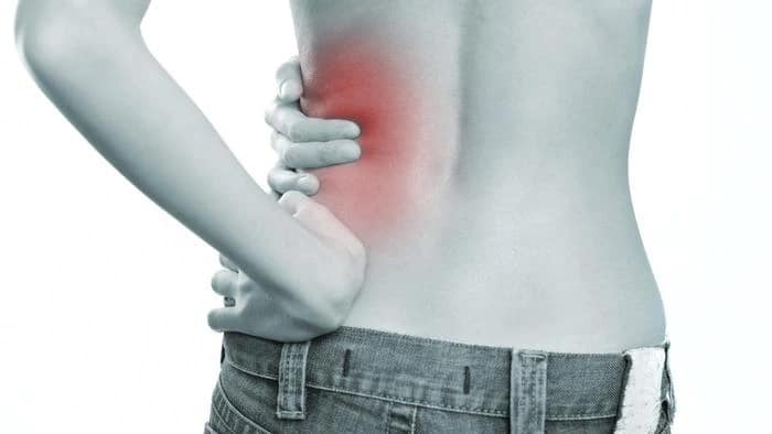 Tips to keep your kidney heathy, what you should do, know some facts Kidney Health: কিডনির অসুখেও ভুগছিলেন সাধন পাণ্ডে, সতর্ক থাকার পরামর্শ বিশেষজ্ঞদের