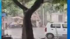 અમરેલીના બાબરા પંથકમાં વરસાદી માહોલ, ખેડૂતોમાં ખુશીની લહેર