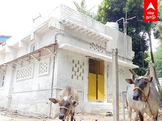 House without concrete : Cement, ஜல்லி, கம்பி எதுவும் கிடையாது- 25% குறைந்த விலையில் இயற்கை வீடு!