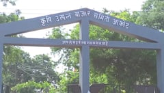 Akola : अकोट बाजार समिती; पैशांचा अपहार प्रकरण, गुन्हे अन् सचिवाचा निर्दोषत्वासाठी टाहो