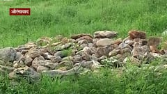 Aurangabad : मौल्यवान दगडांच्या साठ्यावर जिल्हाधिकारी कार्यालयाची कारवाई