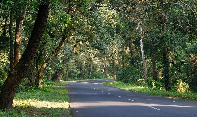 Jalpaiguri Dooars Corona Guidelines Issued for tourists visiting North Bengal Dooars Corona Guidelines: ডুয়ার্সে আসতে হলে মানতে হবে এই শর্ত, পর্যটকদের জন্য জারি নির্দেশিকা